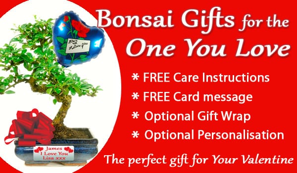 valentines-info-page-main-banner