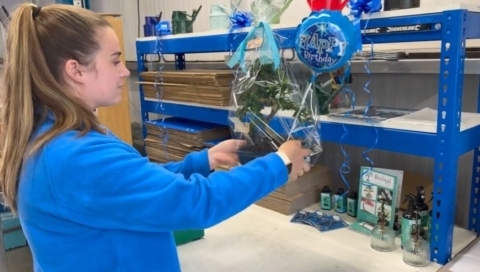 Birthday bonsai gifts