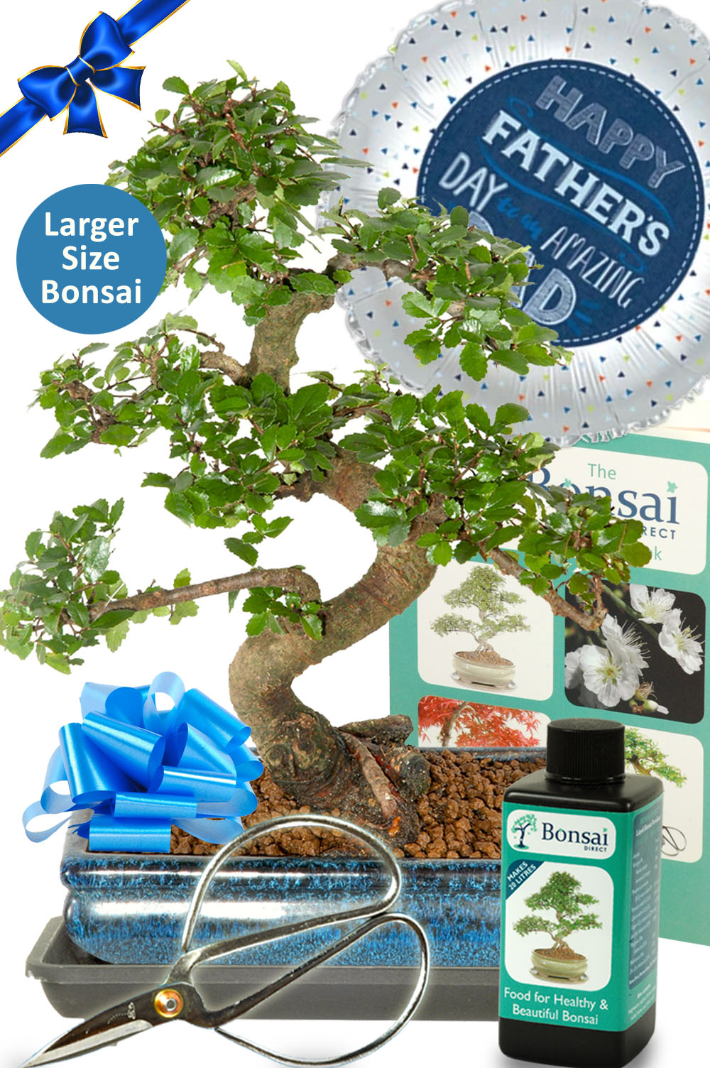 Larger Comprehensive Father's Day Bonsai Kit | A Top Choice
