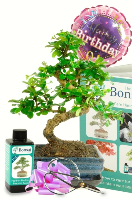 The Ultimate Happy Birthday ~ Unusual Gift For Her