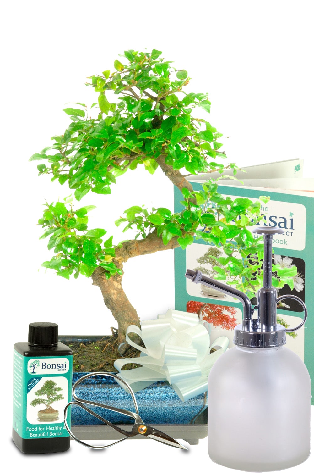 The perfect fruiting indoor beginners starter kit