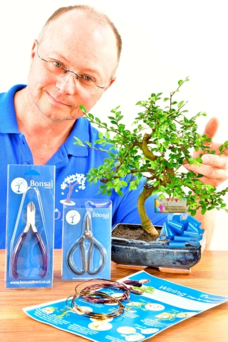 Retirement bonsai for sale UK