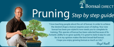 Pruning guides