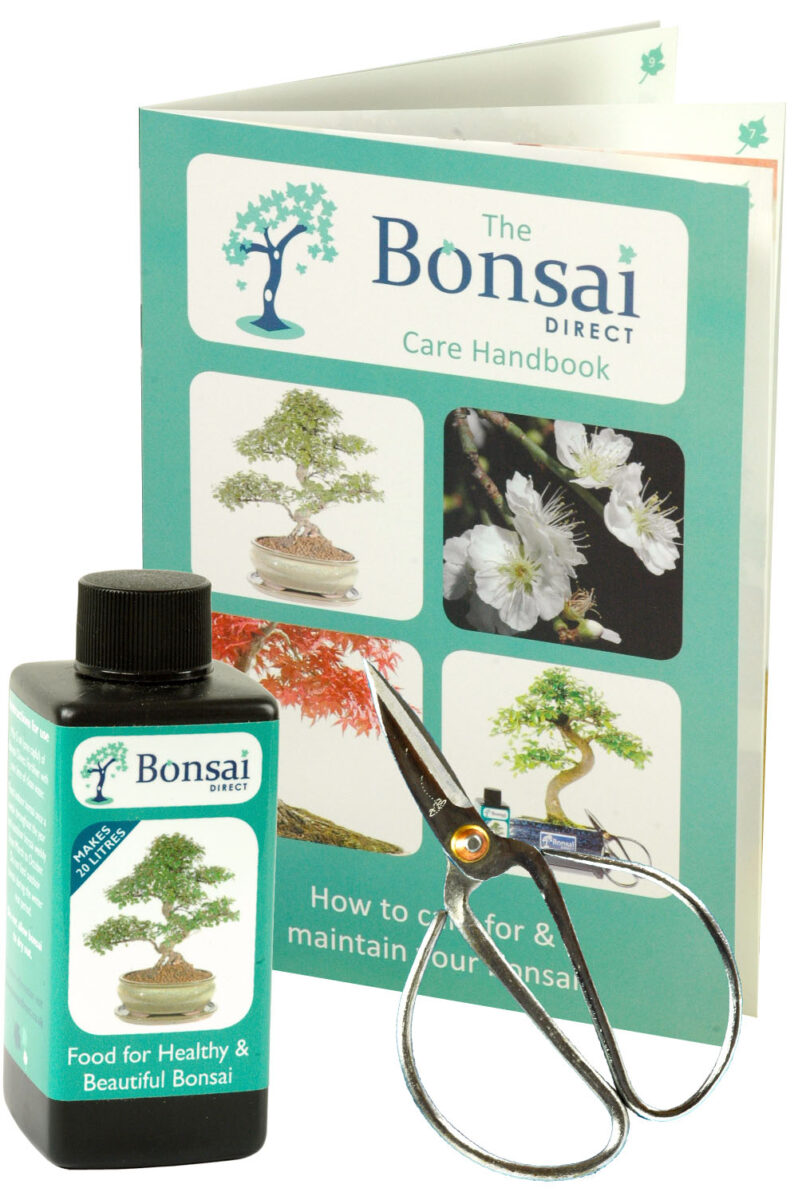 Bonsai Care Kit for making perfect bonsai kits