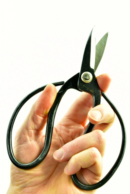 Chinese Heavy Duty Bonsai Shears