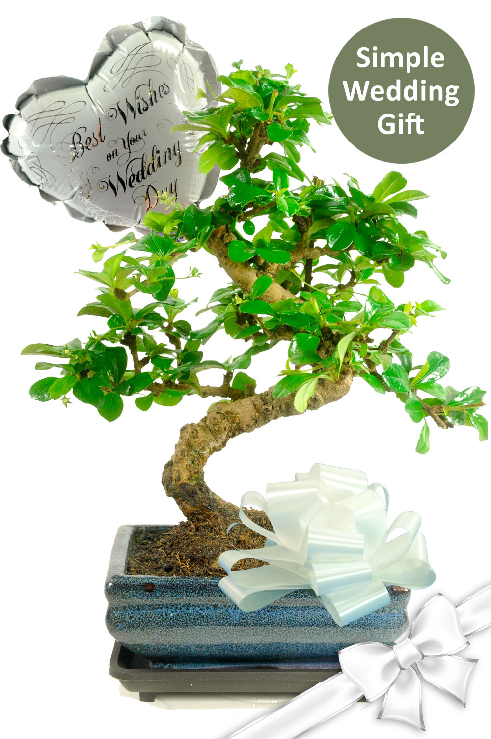 Elegant S-Shaped Flowering Bonsai Wedding Gift