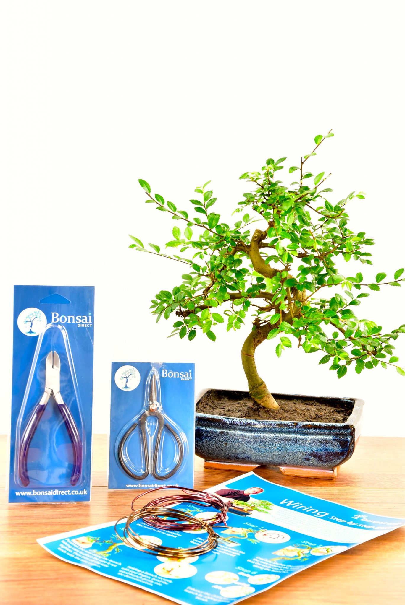 Medium Twisty Bonsai Kit - Pruning & Wiring