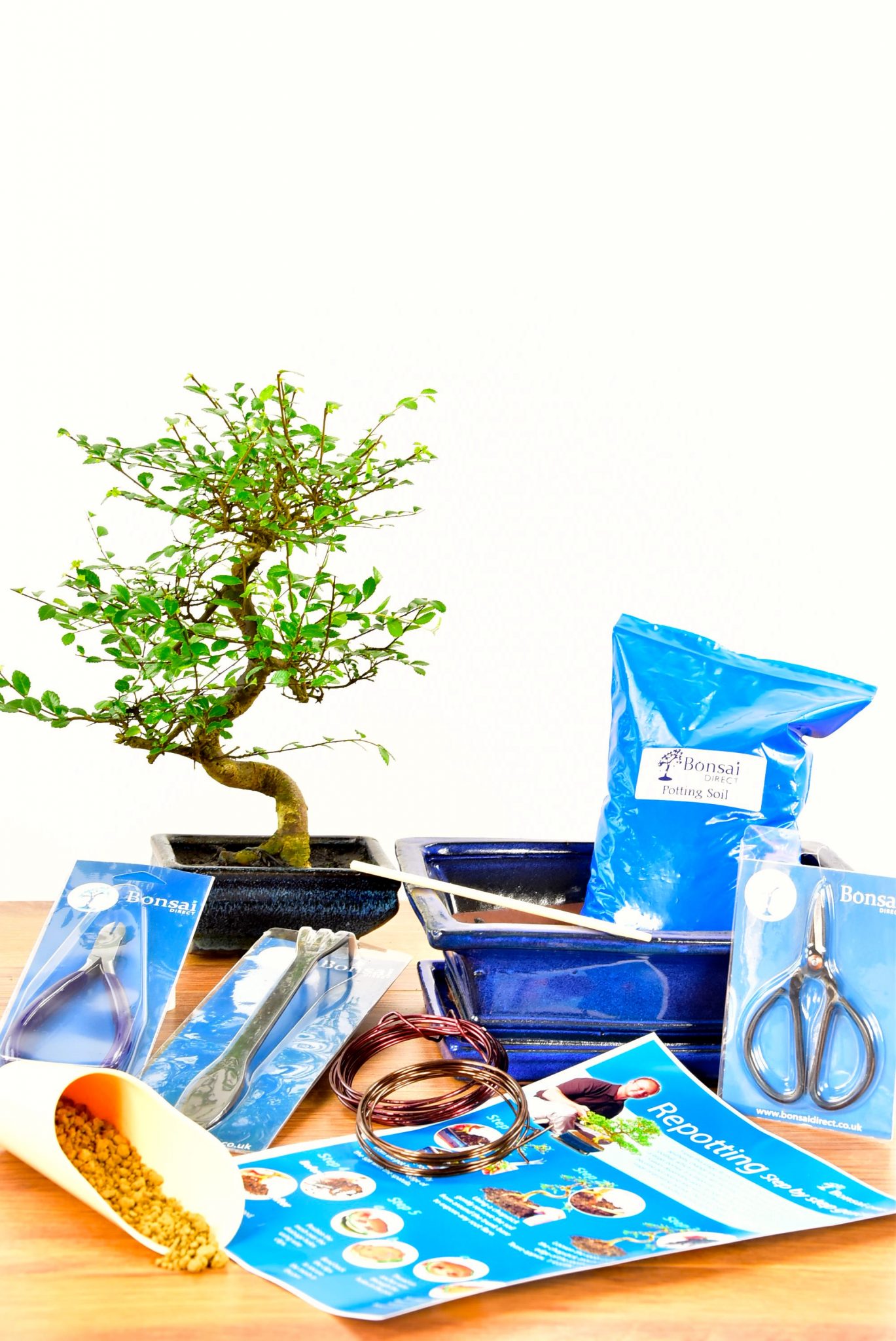 Standard Twisty Bonsai Kit - Pruning, Wiring & Potting