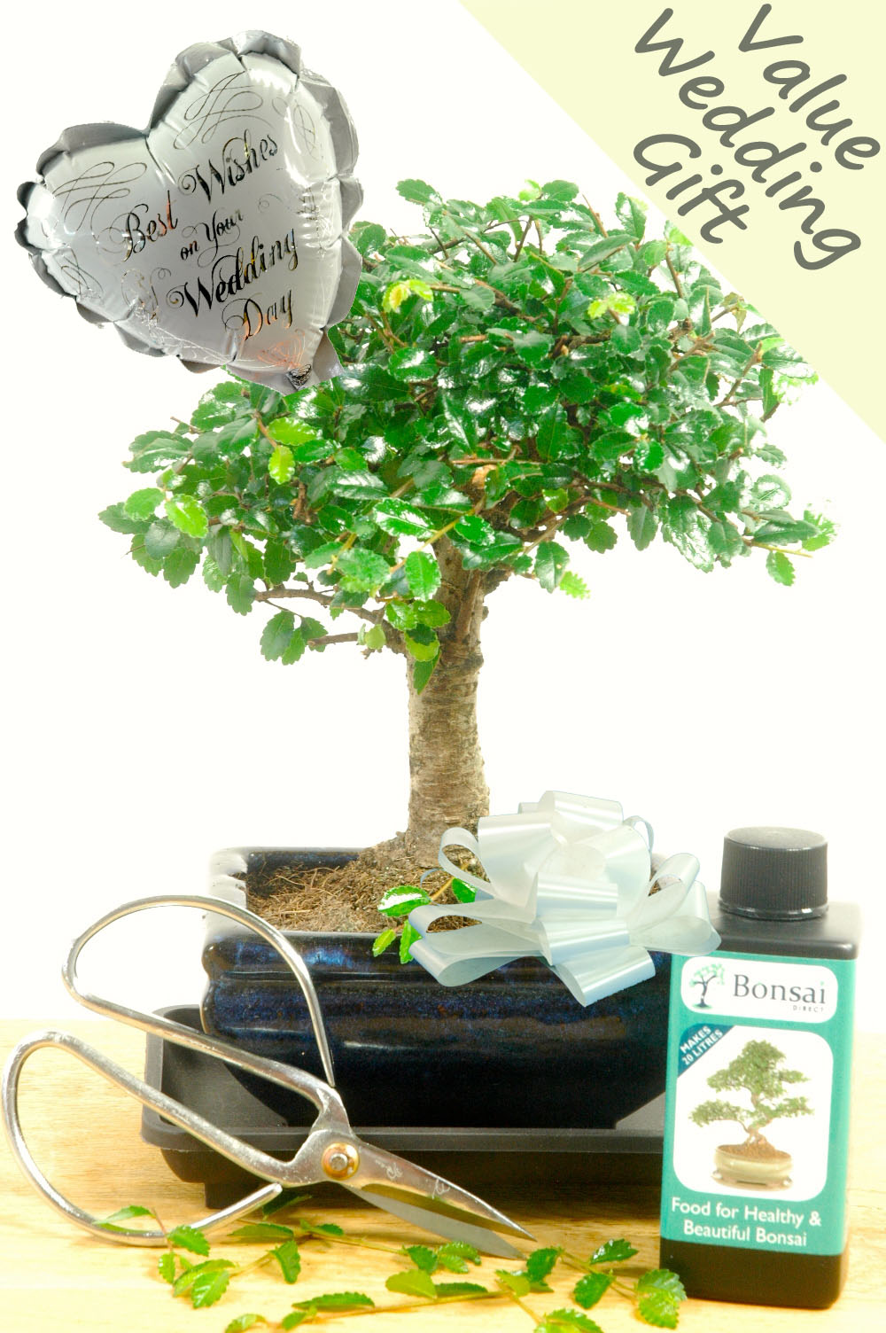 Stunning Baby Bonsai Wedding Gift Set