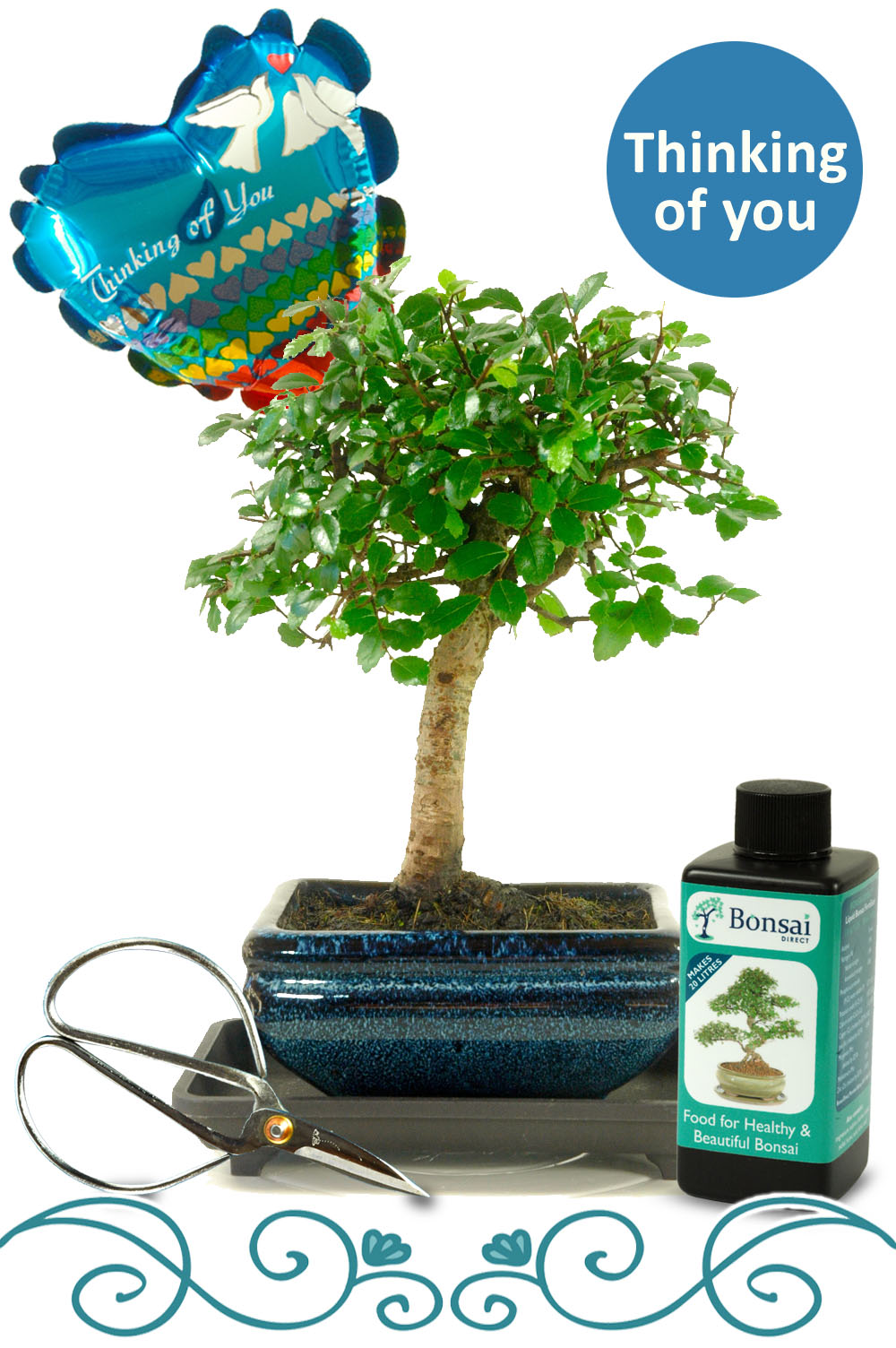 Thinking of You Indoor Bonsai Gift