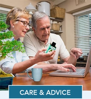 Bonsai Tree Care & Advice