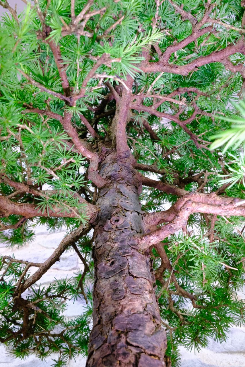 Incredible design and artistic wonder