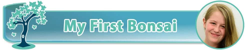 Bonsai Blog by Calista White