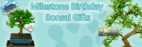 Milestone birthday bonsai gifts