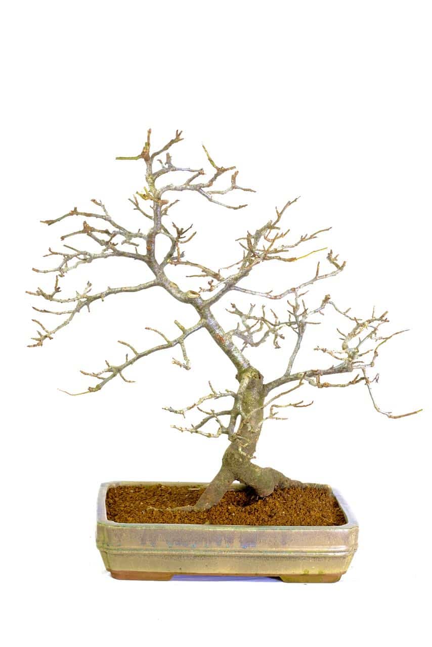 Impressive structure