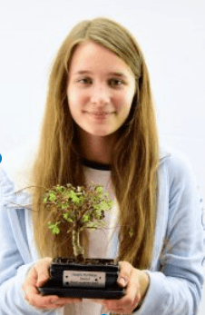 "My First Bonsai Tree"