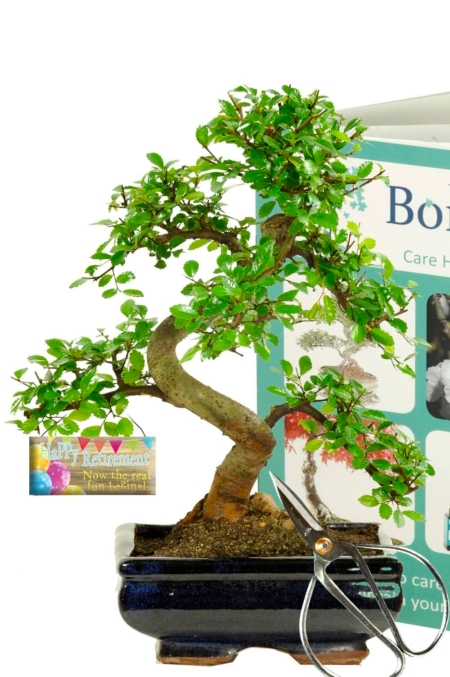 Perfect Happy Retirement gift