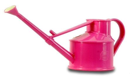 Pink Watering Can
