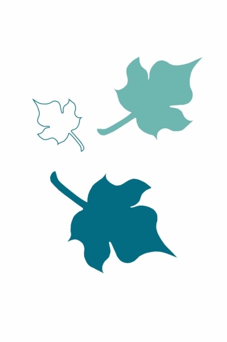 Bonsai kit for sale from the experts