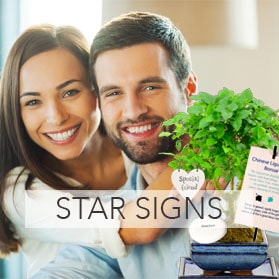 Star sign birthday bonsai gifts