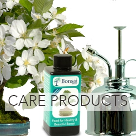 Bonsai care products for sale