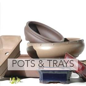 Bonsai pots & trays for sale