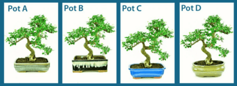 Different pots create different visuals