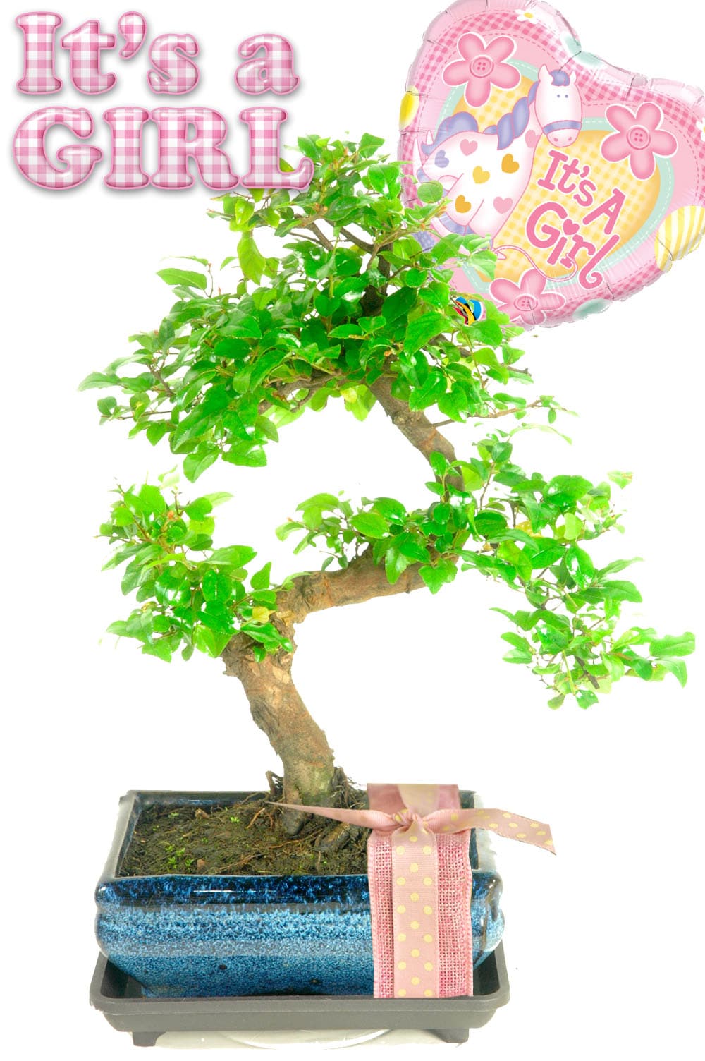 Beautiful gift to celebrate the birth of a baby girl