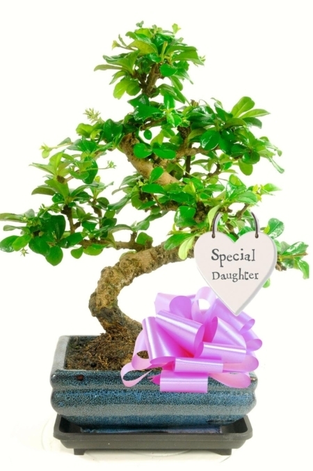 For our special daughter