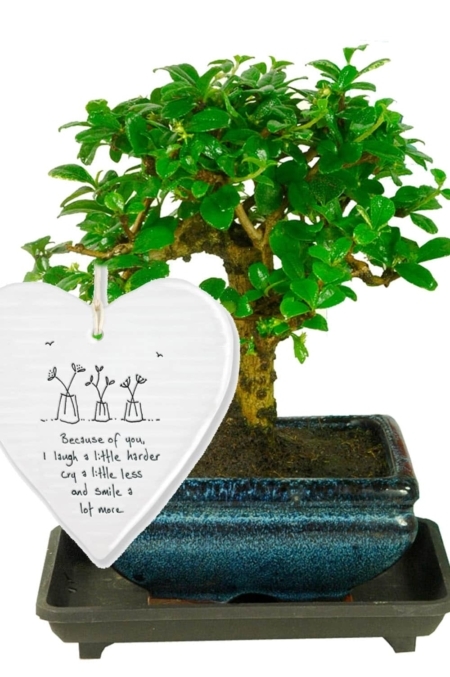 Because of you I laugh a little harder