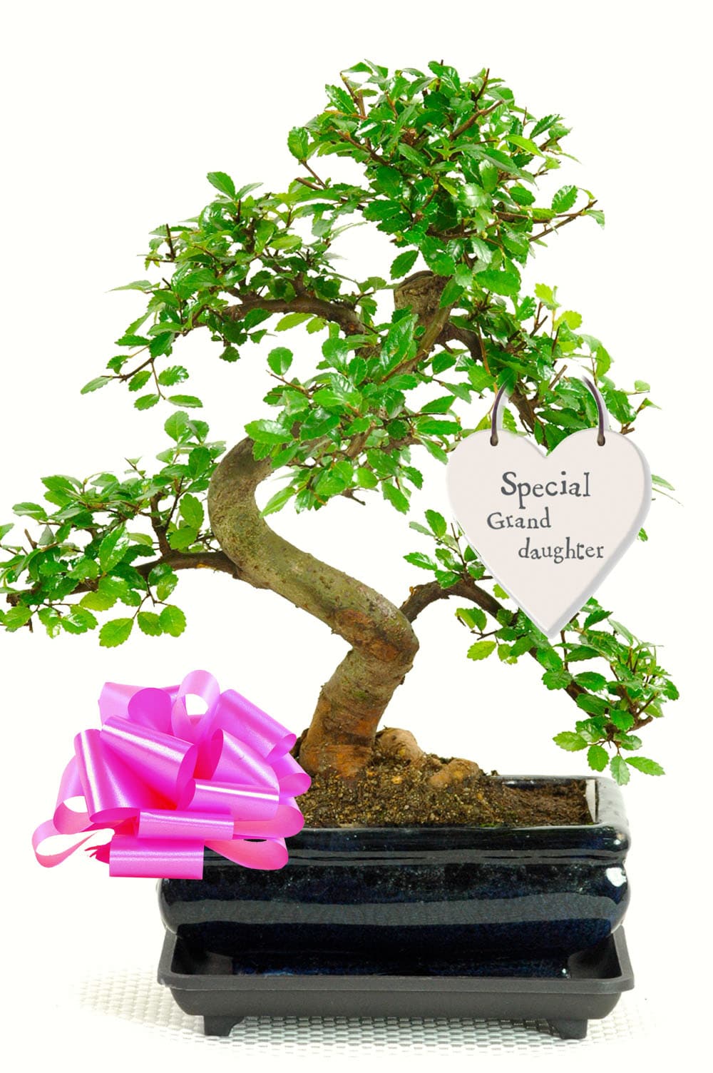 Lovely gift for your special granddaughter