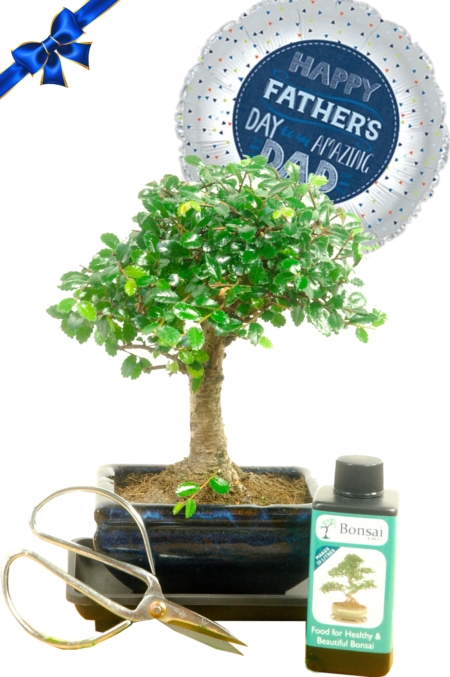 Happy Father's day to my amazing dad