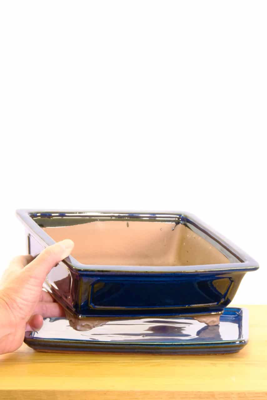 Great Indoor Bonsai Treee Pot UK