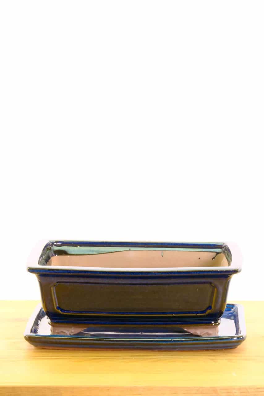 Ceramic pot, perfect for indoor gardening quarantine hobby