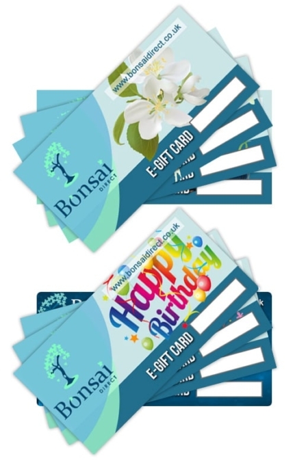 Gift Vouchers | E-Vouchers