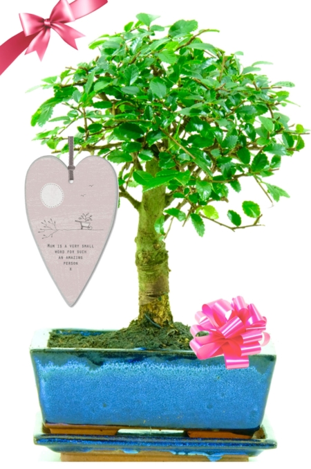 Mum is such a small word for such an amazing person