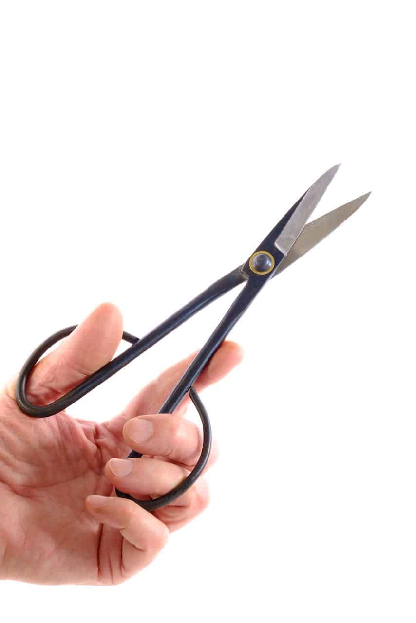 Fine long handled bonsai pruning scissors
