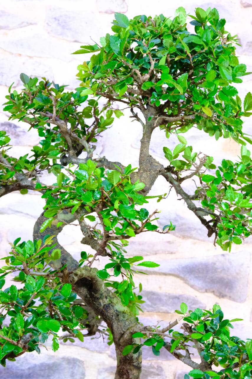 Free delivery to Winchester Manchester and Sheffield