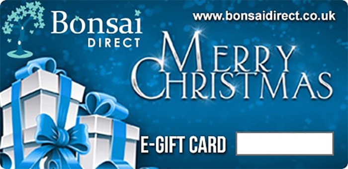 Bonsai Direct Christmas Gift Voucher