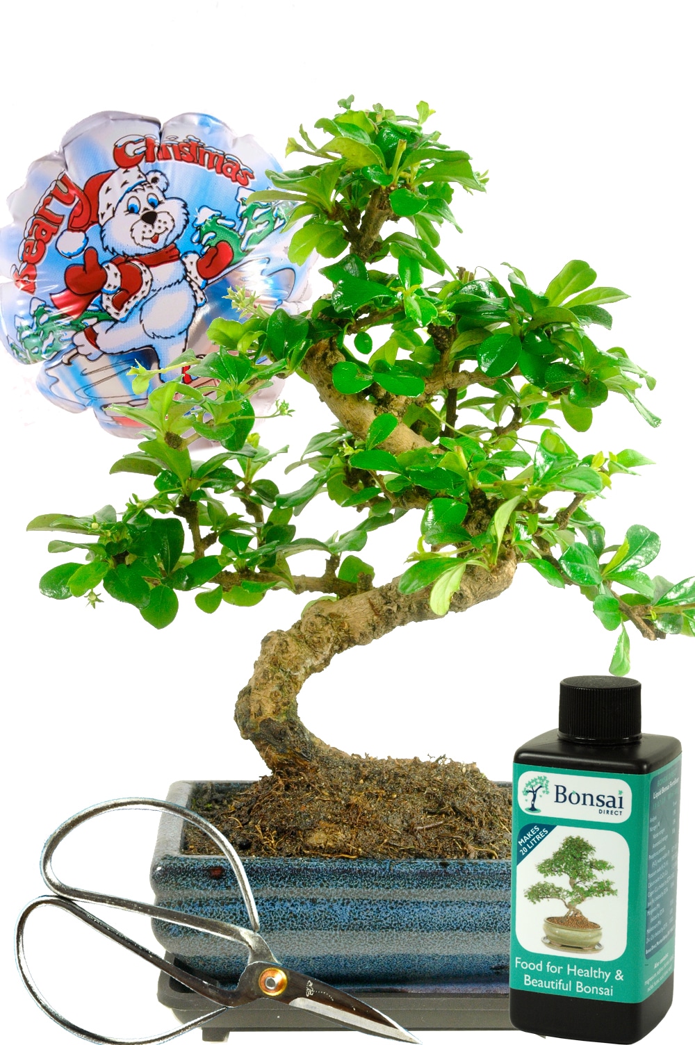 S-shaped bonsai with Beary Christmas balloon and accessories