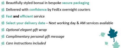 Bonsai Direct delivery