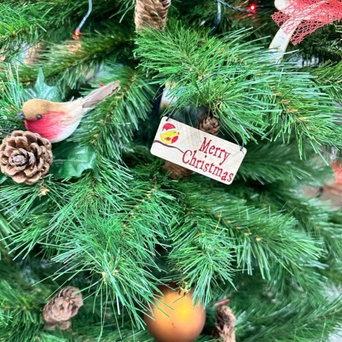 Christmas at bonsai direct - Beautiful bonsai trees