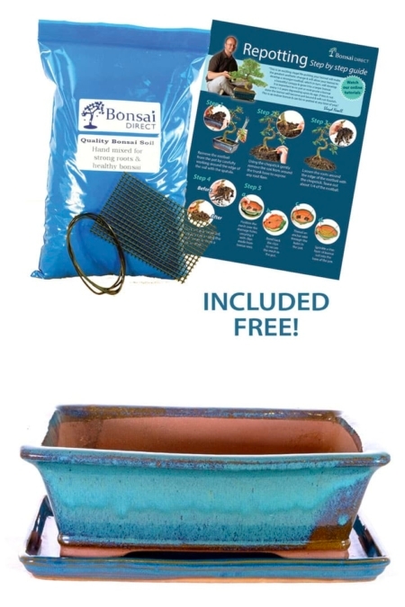Extra large 12 inch Cyan glazed bonsai pot & tray for sale