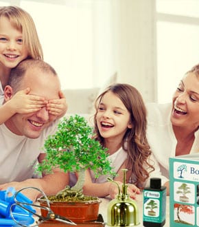 Bonsai Tree Gifts - Family & Friends