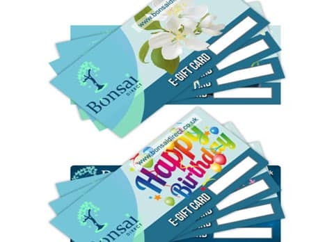 Bonsai Direct Gift Vouchers