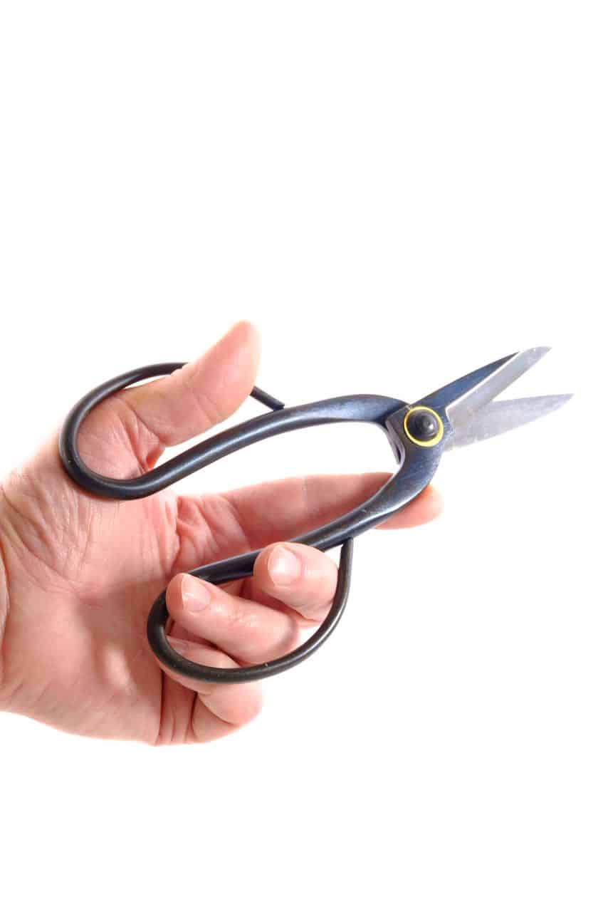 Free delivery on all bonsai tools to most areas