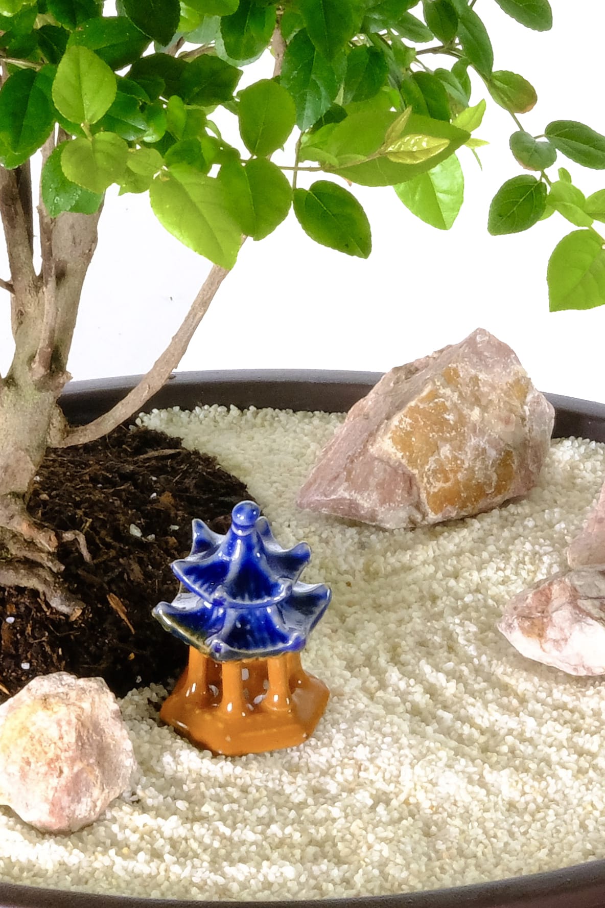 Close up of the glazed temple