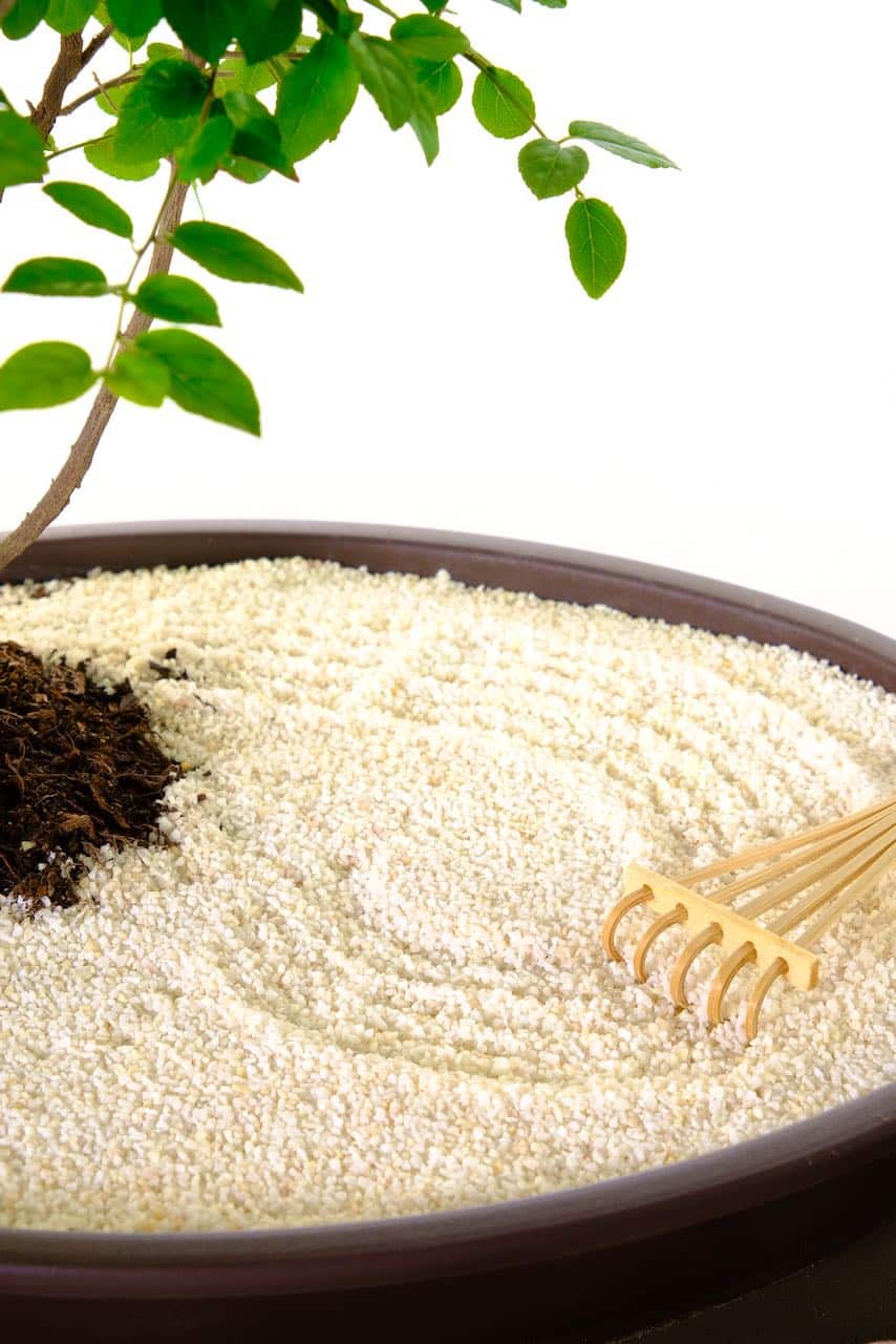 Chill out & redesign the garden