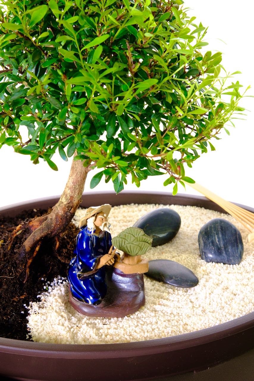 Glazed oriental figure pruning bonsai included