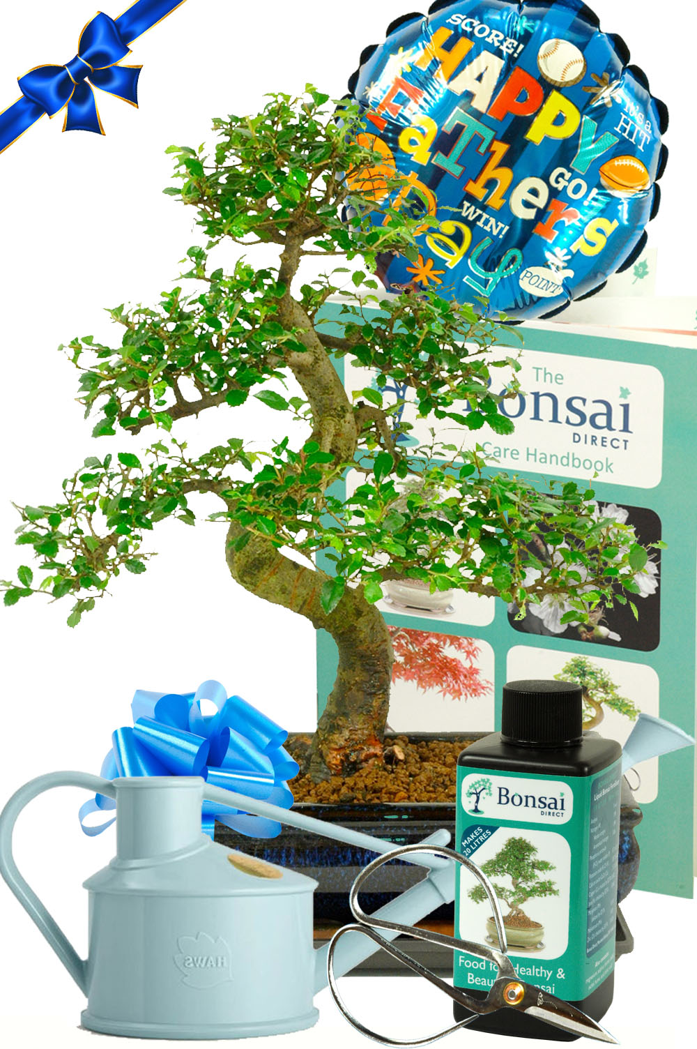 Large Father's day Bonsai Kit - Comprehensive mature starter kit